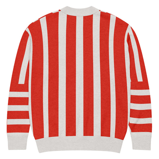 Cinnabar Striped Knitted Cardigan by Carl & Lyn back